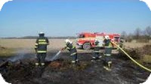 Fotka