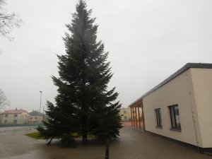 draki&aacute;da